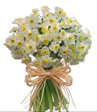 Pretty Bouquet of Paperyellow Ziva Narcissus - Flowers Box London