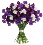 Pretty Bouquet of Purple and White Sweet Pea