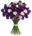 Pretty Bouquet of Purple and White Sweet Pea