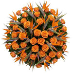 Pretty Bouquet of Roses with Birds of Paradise Blooms