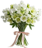 Pretty Bouquet of Sweet Pea and Helleborus