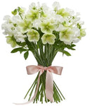 Pretty Bouquet of Sweet Pea and Helleborus