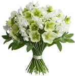 Pretty Bouquet of Sweet Pea and Helleborus
