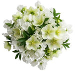 Pretty Bouquet of Sweet Pea and Helleborus