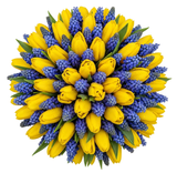 Pretty Bouquet of Tulips with Muscari - Flowers Box London