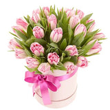 Pretty Box of Double Tulips