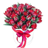 Pretty Box of Double Tulips