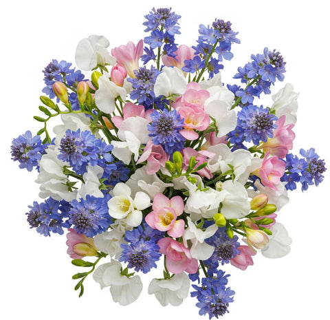 Pretty Fragrant Bouquet of Sweet Pea and Freesias with Delphinium