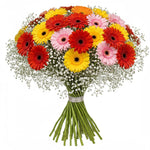 Pretty Gerberas with Gypsophila Bouquet - Flowers Box London