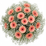 Pretty Gerberas with Gypsophila Bouquet - Flowers Box London
