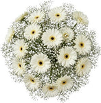 Pretty Gerberas with Gypsophila Bouquet - Flowers Box London