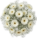 Pretty Gerberas with Gypsophila Bouquet - Flowers Box London