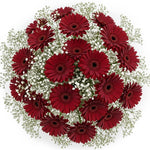Pretty Gerberas with Gypsophila Bouquet - Flowers Box London