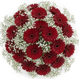 Pretty Gerberas with Gypsophila Bouquet - Flowers Box London