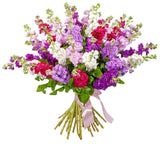 Pretty Multicolored Stock Bouquet - Flowers Box London