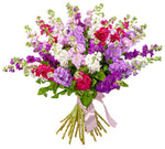 Pretty Multicolored Stock Bouquet