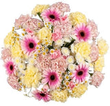 Pretty Pastel Bouquet of Carnations and Gerbera - Flowers Box London