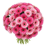 Pretty Pink Duo Gerbera Bouquet - Flowers Box London