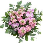 Pretty Sweet Pea and Stocks Bouquet