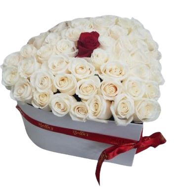 Pure Pleasures Box