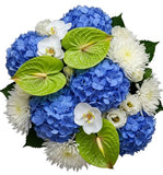 Pure Serenity Orchid Bouquet