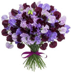 Purple and Lavender Sweet Pea Bouquet - Flowers Box London