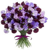 Purple and Lavender Sweet Pea Bouquet - Flowers Box London