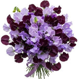 Purple and Lavender Sweet Pea Bouquet - Flowers Box London