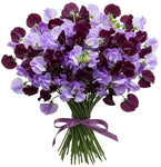 Purple and Lavender Sweet Pea Bouquet - Flowers Box London