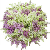 Purple and White Lilac Bouquet - Flowers Box London