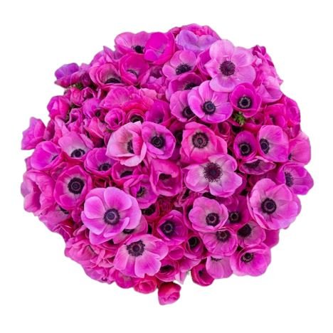 Purple Anemone Bouquet - Flowers Box London