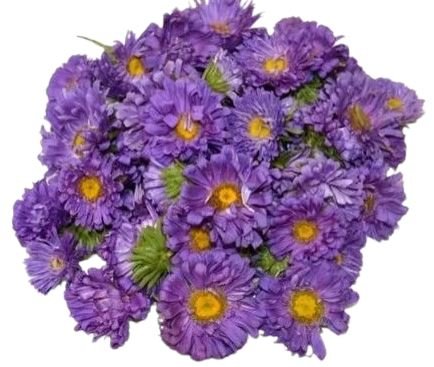 Purple Aster Bouquet - Flowers Box London