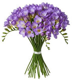 Purple Freesias Bouquet - Flowers Box London