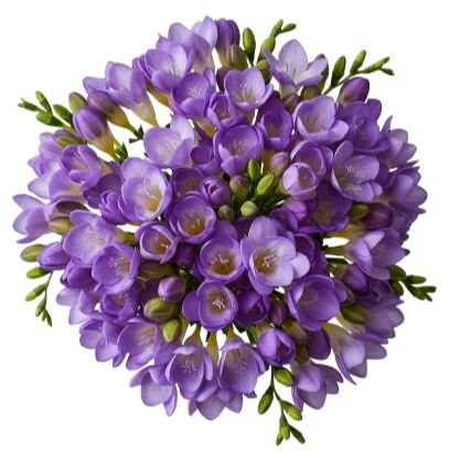 Purple Freesias Bouquet - Flowers Box London