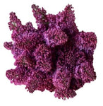 Purple Lilac Bouquet