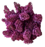 Purple Lilac Bouquet - Flowers Box London