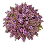 Purple Lilac Bouquet - Flowers Box London