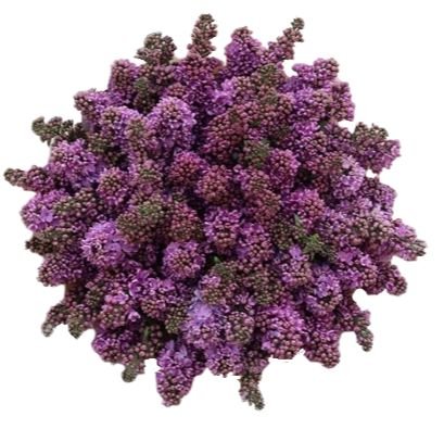 Purple Lilac Bouquet - Flowers Box London