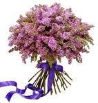 Purple Lilac Bouquet