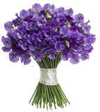 Purple Sweet Pea Bouquet