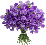 Purple Sweet Pea Bouquet