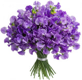 Purple Sweet Pea Bouquet