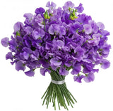 Purple Sweet Pea Bouquet - Flowers Box London