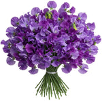 Purple Sweet Pea Bouquet