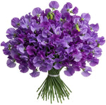 Purple Sweet Pea Bouquet - Flowers Box London
