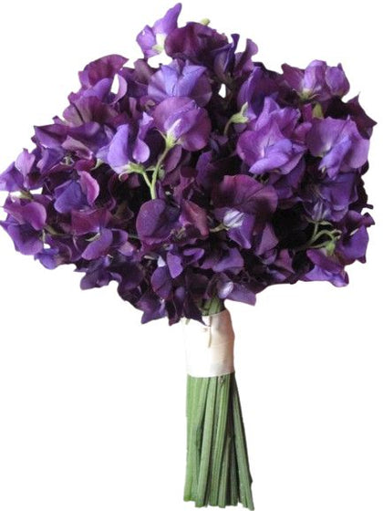 Purple Sweet Pea Bridal Bouquet