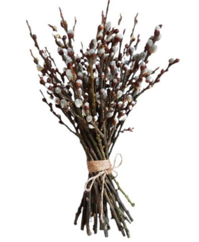 Pussy Willow Catkins | Bring Nature Indoors with Salix Foliage - Flowers Box London
