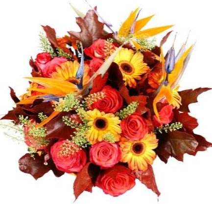 Radiance of Paradise Blooms Bouquet - Flowers Box London
