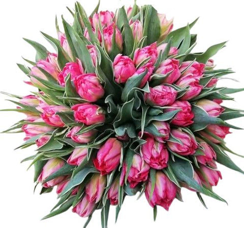 Rafined Pink Blush Double Tulips Bouquet