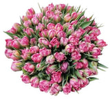 Rafined Pink Blush Double Tulips Bouquet
